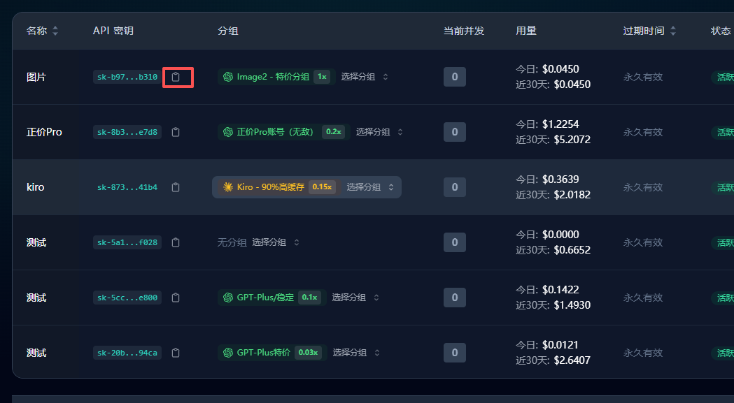 复制创建好的 API 密钥