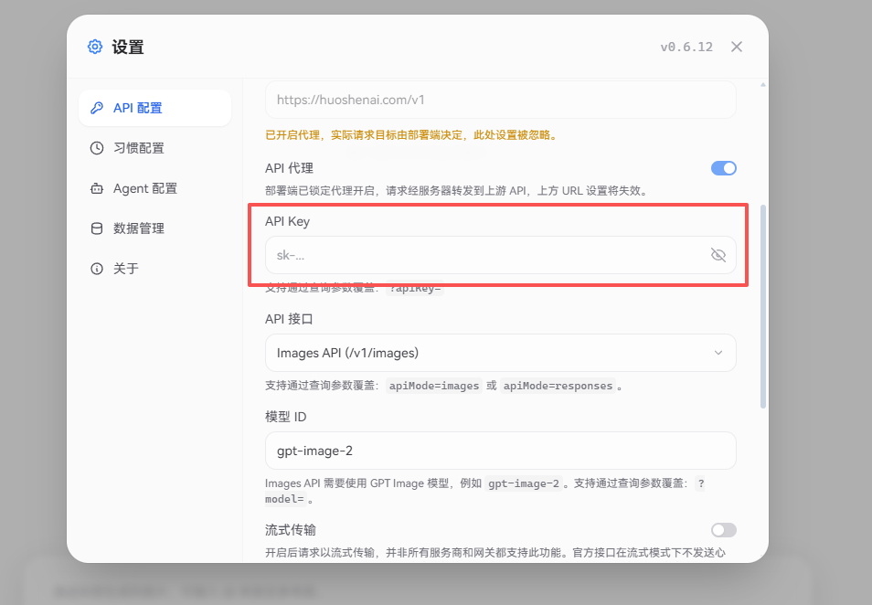 粘贴 API Key